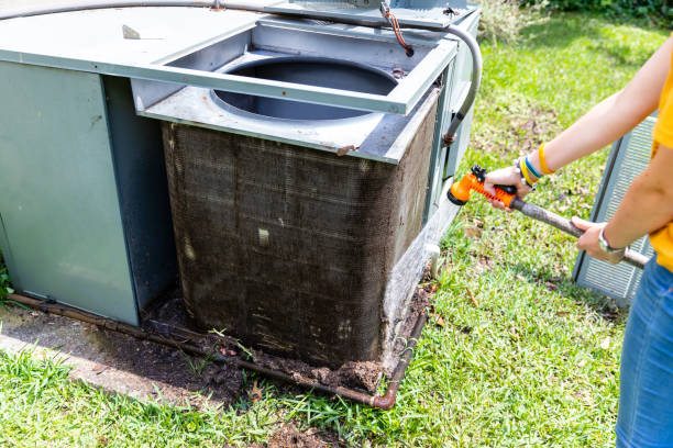 Best Professional Duct Cleaning Services  in Sour Lake, TX