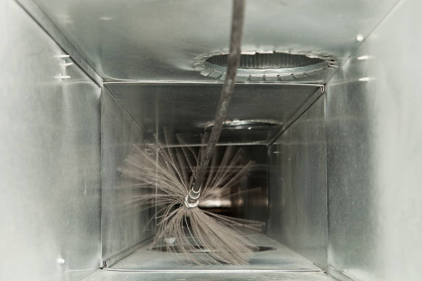 Best Air Duct Sanitizing Services  in Sour Lake, TX