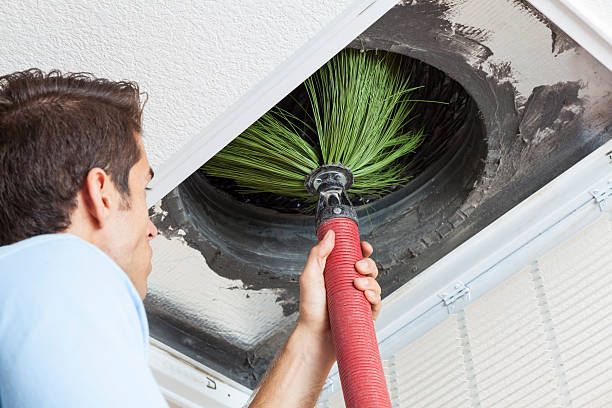 Best Affordable HVAC Duct Cleaning  in Sour Lake, TX